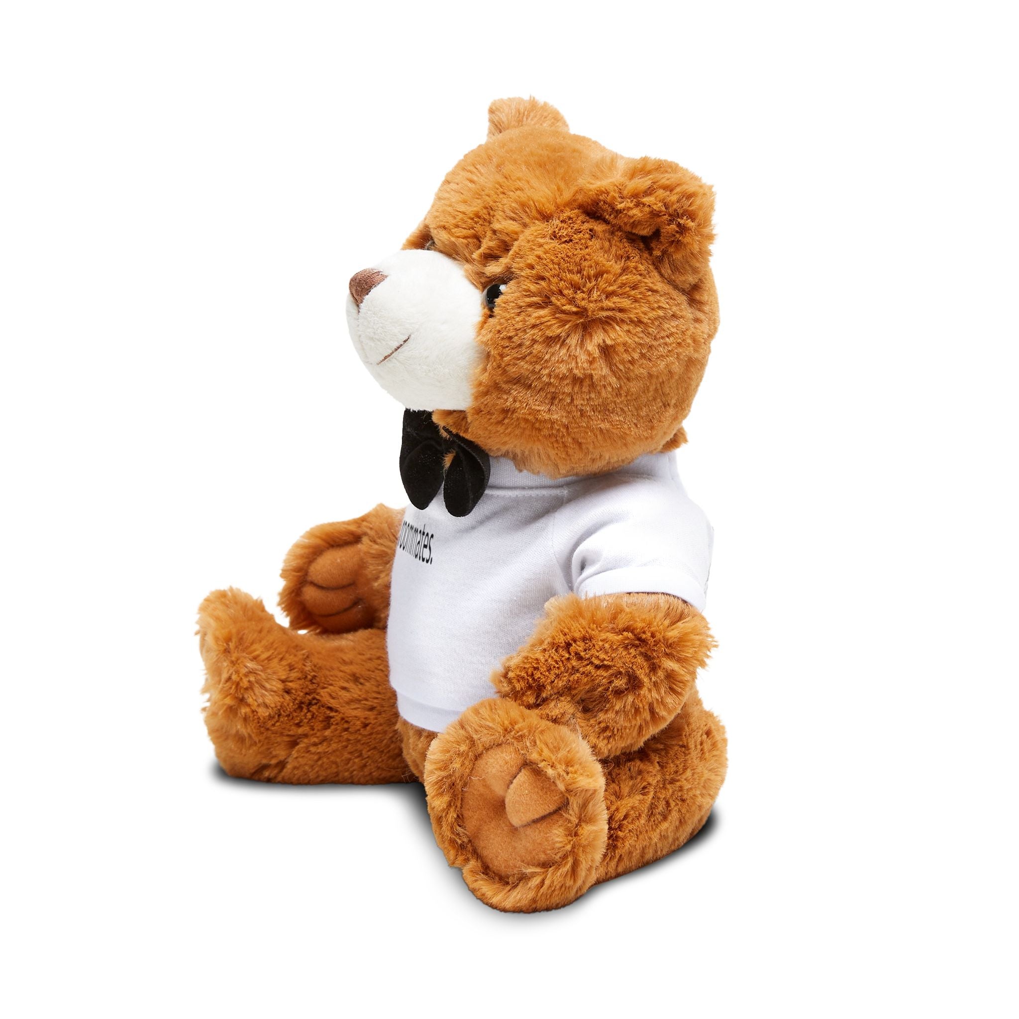 roommates. Teddy Bear Bundle