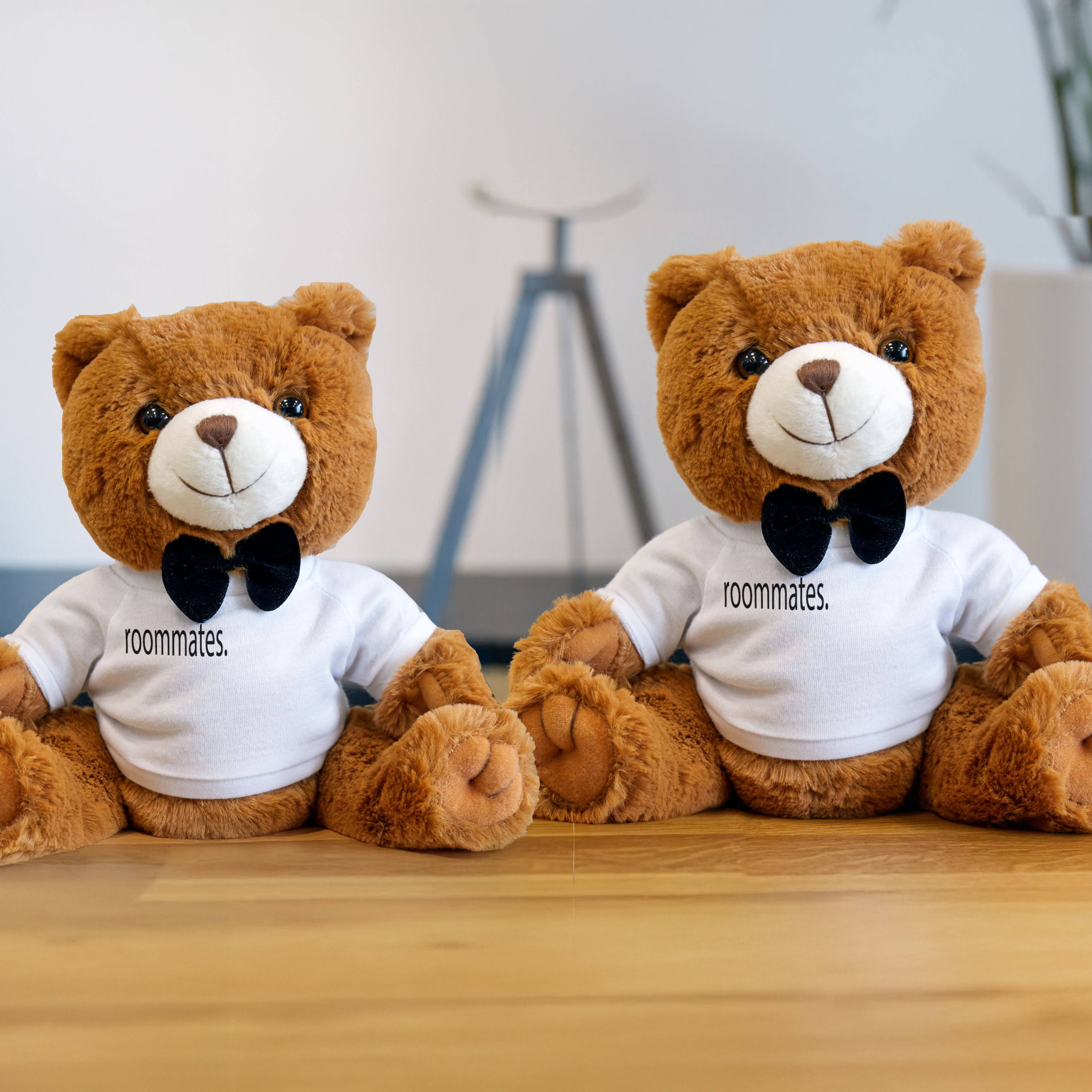 roommates. Teddy Bear Bundle